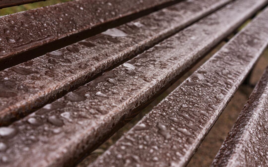 moisture roofs